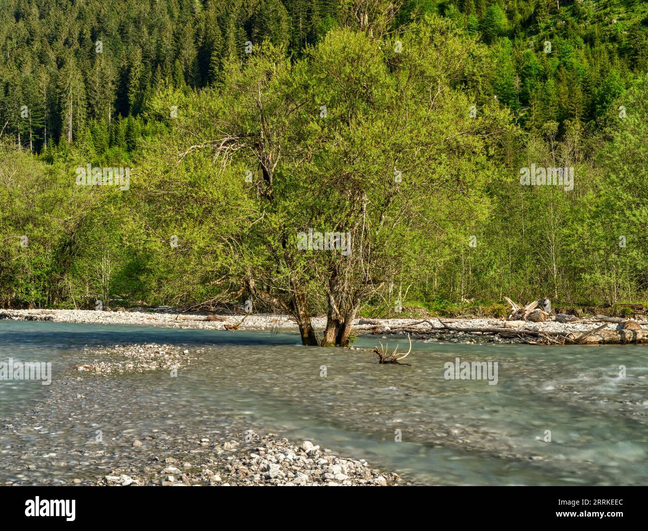 Am Hornbach im Hornbachtal, Naturpark Tiroler Lechtal. Stockfoto