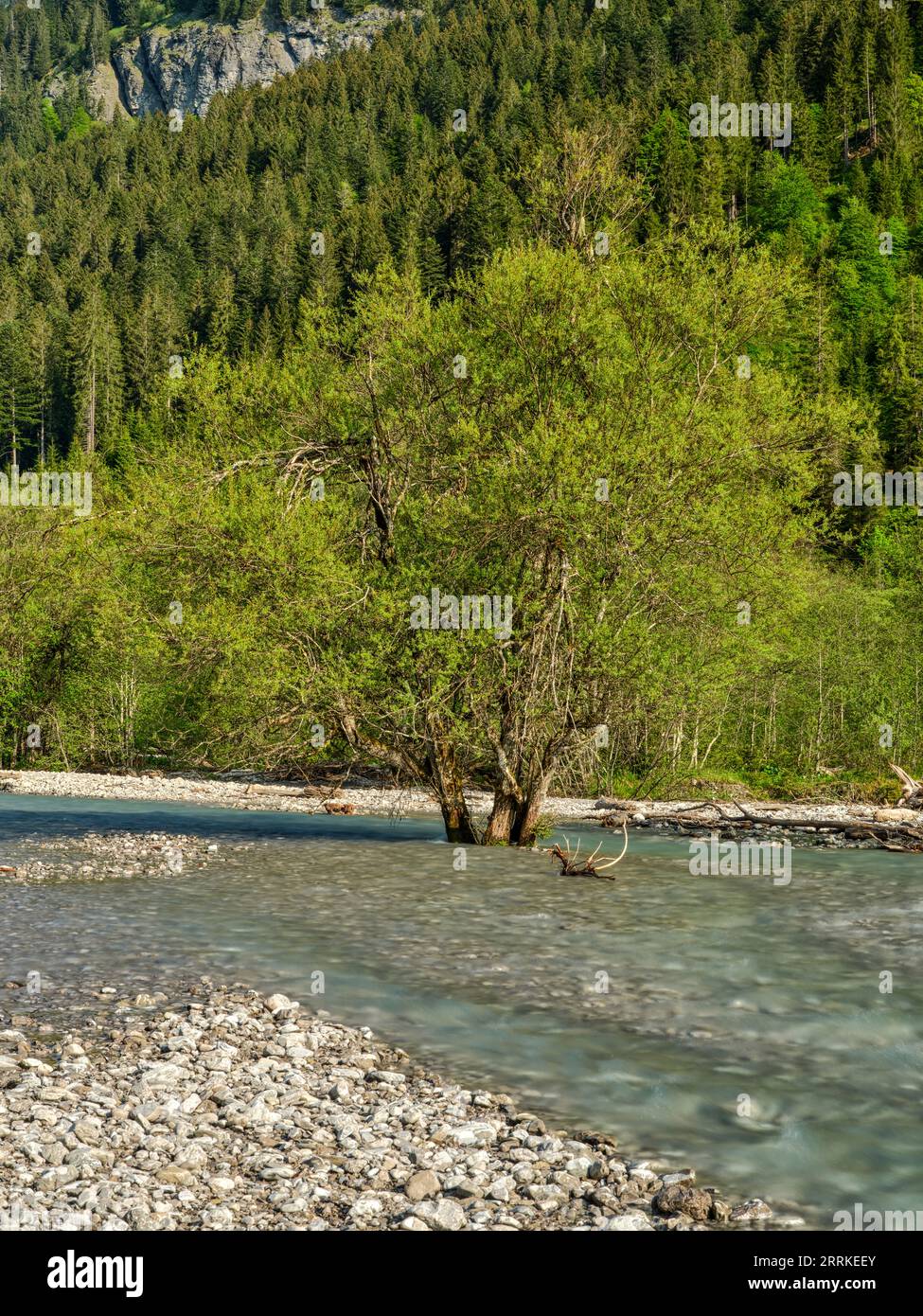Am Hornbach im Hornbachtal, Naturpark Tiroler Lechtal. Stockfoto
