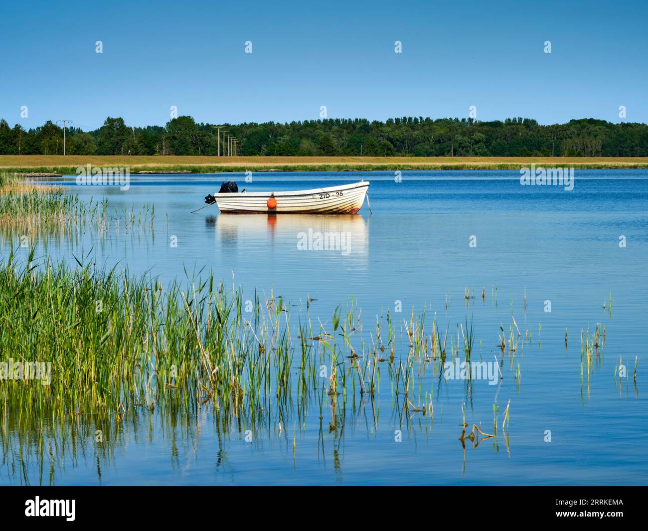 Barther Bodden, an der Kleinen Wiek. Stockfoto