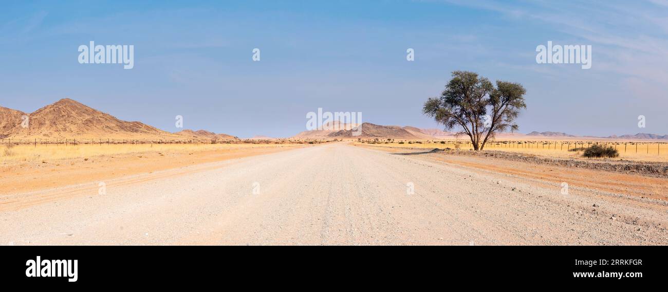 Eine Sandstraße in der Mitte der Wüste mit einer Gruppe von Bäumen und Tiras Mountains im Hintergrund, Kanaan Desert Retreat, an der Grenze von Namib des Stockfoto
