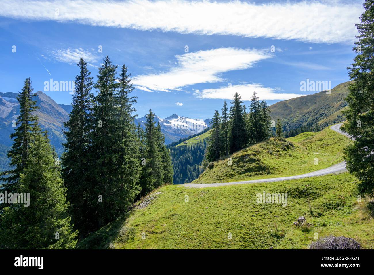 Österreich, Tirol, Zillertal, Blick unter der Eggalm zum Hintertuxer Gletscher. Stockfoto