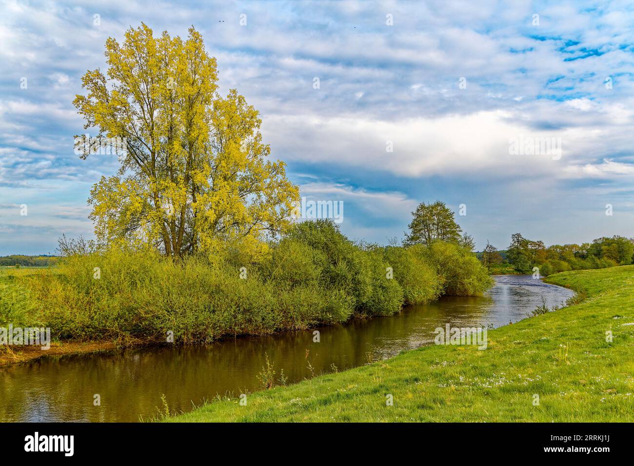 Verlauf der Hunte durch Laubmischwälder der Wildeshauser Geest Stockfoto