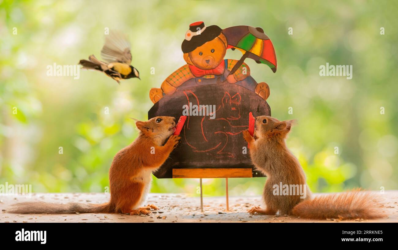 Rote Eichhörnchen stehen mit Staffelei und Bleistift Stockfoto