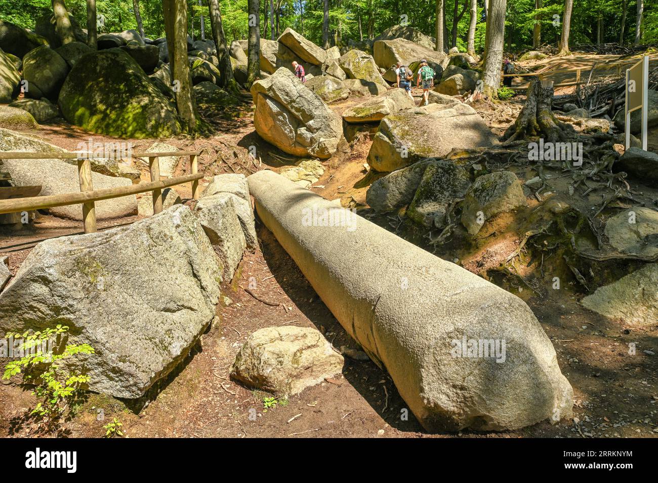 Lautertal, Hessen, Odenwald, Deutschland, römische Riesensäule im Felsenmeer Stockfoto