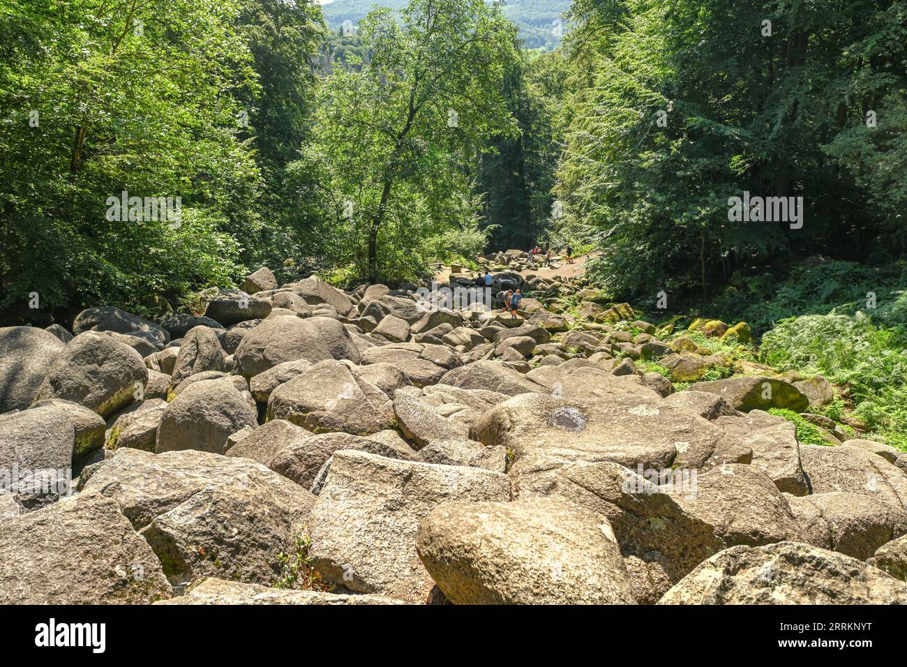 Lautertal, Hessen, Odenwald, Deutschland, Felsenmeer im Sommer Stockfoto