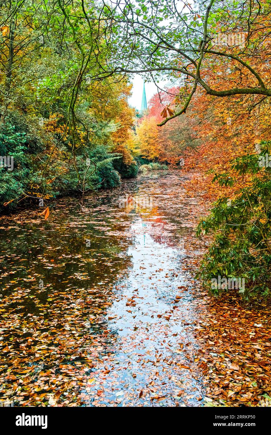 Der Herbst kommt in vielen Farben in den Oldenburger Schlossgarten, ein Park, der als Arboretum inmitten der Großstadt angelegt ist. Der Regen verstärkt die Farben. Stockfoto