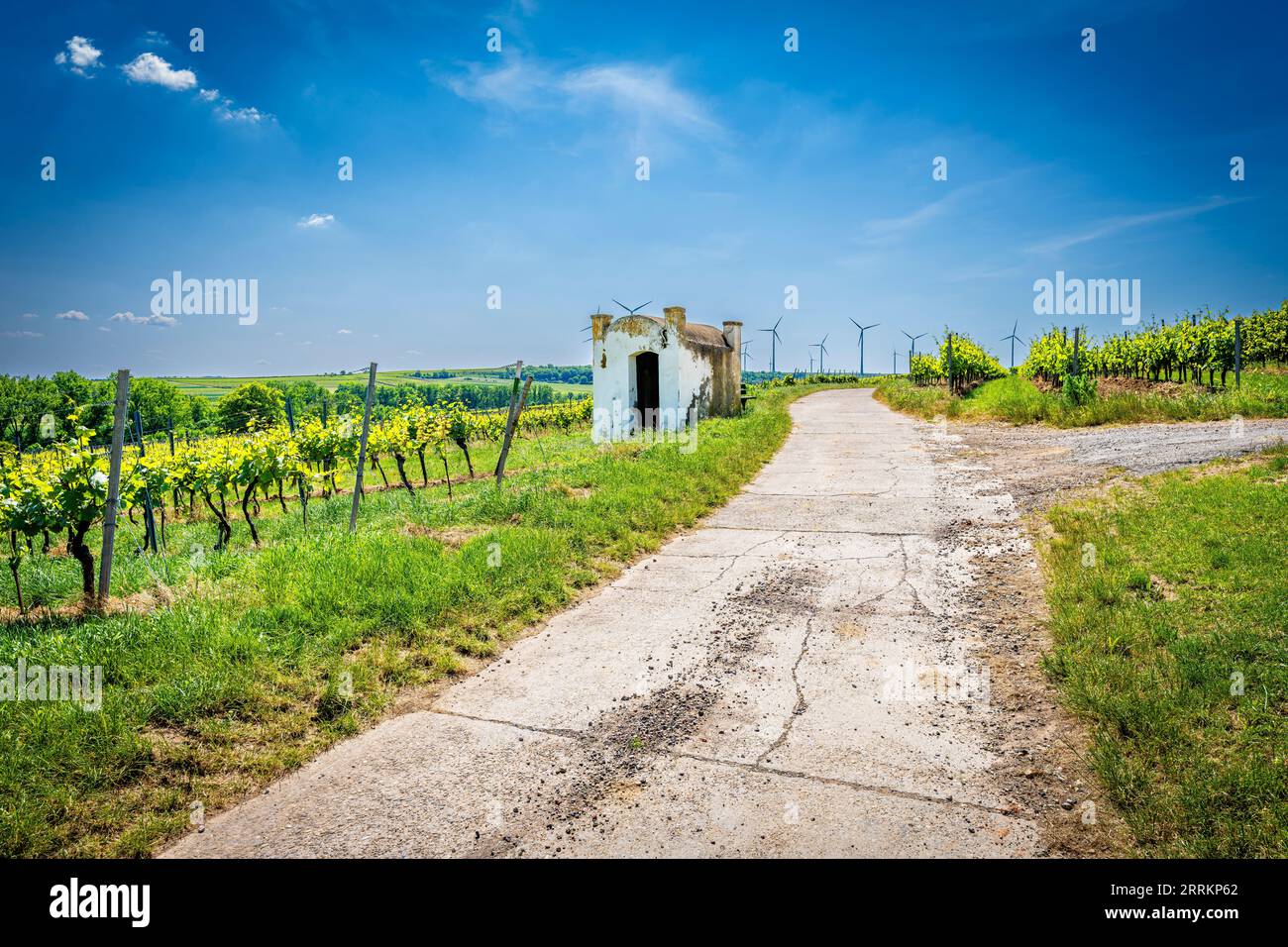 Trullo auf dem alten Feldweg bei Monsheim in Rheinhessen, ein Schutz bei widrigen Witterungsbedingungen, der dem apulischen Trulli nachempfunden ist Stockfoto