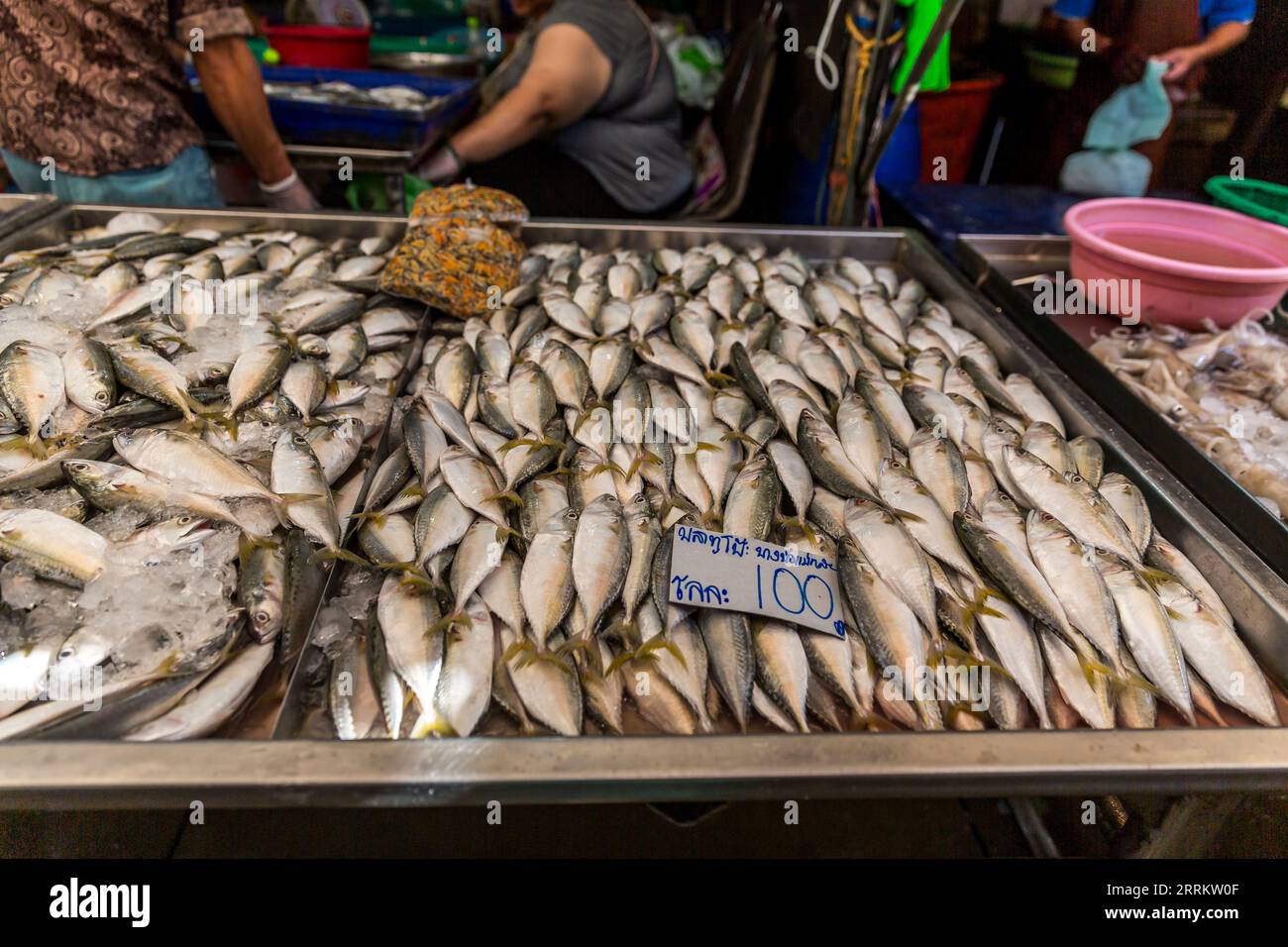 Verschiedene Fischarten, Verkauf von Lebensmitteln auf Schienen, Maeklong Railway Market, Talad Rom Hub Railway Market, in der Nähe von Bangkok, Samut Songkhram, Thailand, Asien. Stockfoto