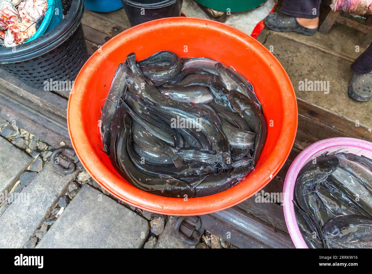 Fisch- und Meeresfrüchte-Verkauf, Lebensmittelverkauf auf Schienen, Maeklong Railway Market, Talad Rom Hub Railway Market, in der Nähe von Bangkok, Samut Songkhram, Thailand, Asien. Stockfoto