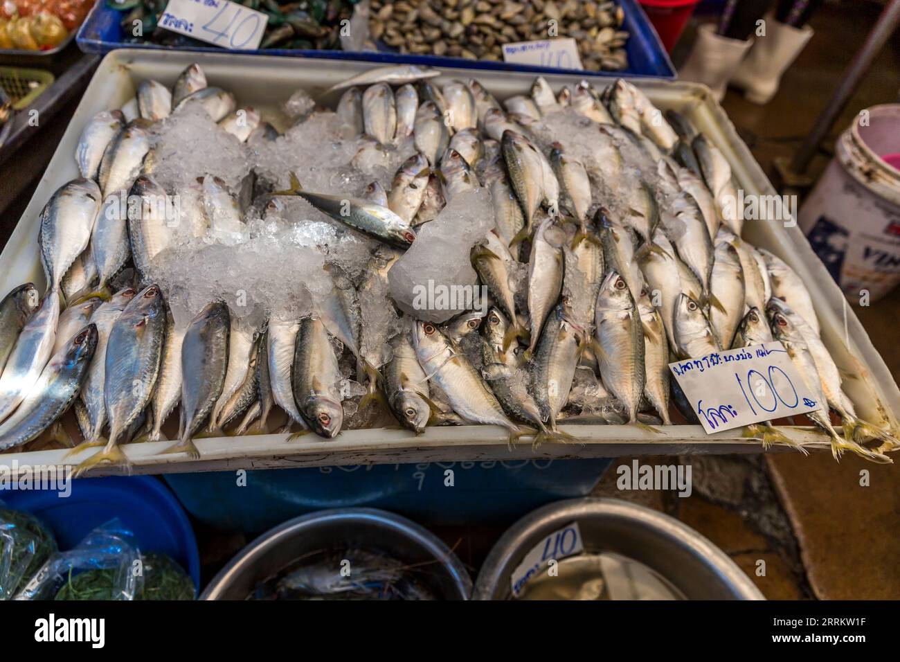 Verschiedene Fischarten, Verkauf von Lebensmitteln auf Schienen, Maeklong Railway Market, Talad Rom Hub Railway Market, in der Nähe von Bangkok, Samut Songkhram, Thailand, Asien. Stockfoto
