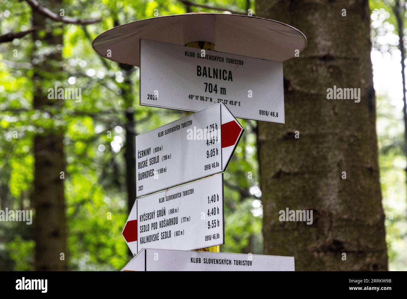 Europa, Polen, Woiwodschaft Podkarpackie, Bieszczady-Gebirge, Balnica Stockfoto