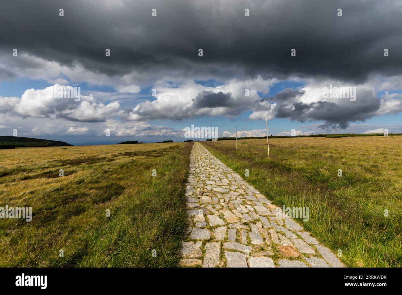 Europa, Polen, Niederschlesien, Riesengebirge, Bergweg bei Sniezka Stockfoto