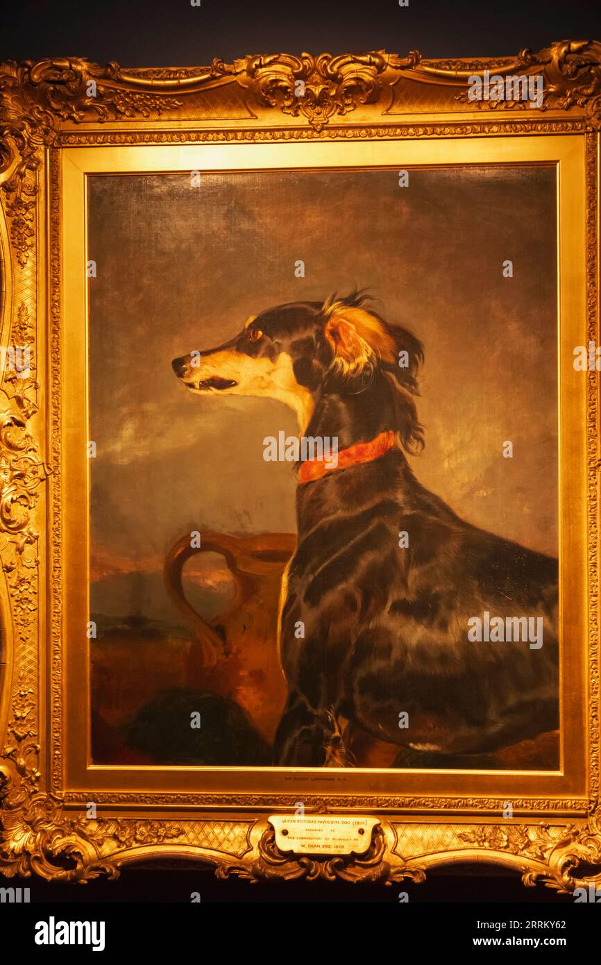 Gemälde mit dem Titel "A Saluki Dog" von Edwin Landseer aus dem Jahr 1844 Stockfoto