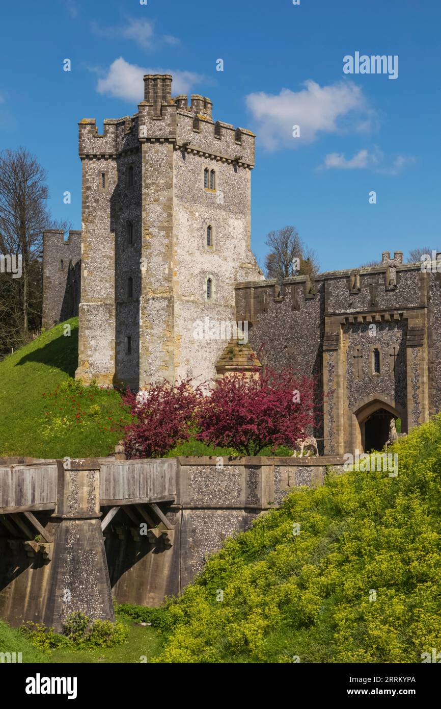 England, Sussex, West Sussex, Arundel, Arundel Castle, Der Graben und die Mauern Stockfoto