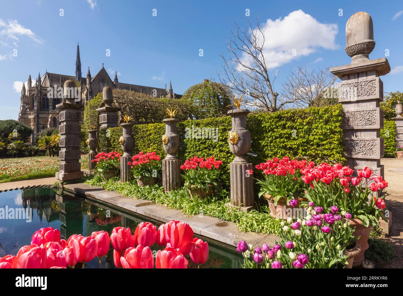 England, Sussex, West Sussex, Arundel, Arundel Castle, Die Gärten, das Wasserspiel und die Brunnen mit Tulpen in Blüte Stockfoto
