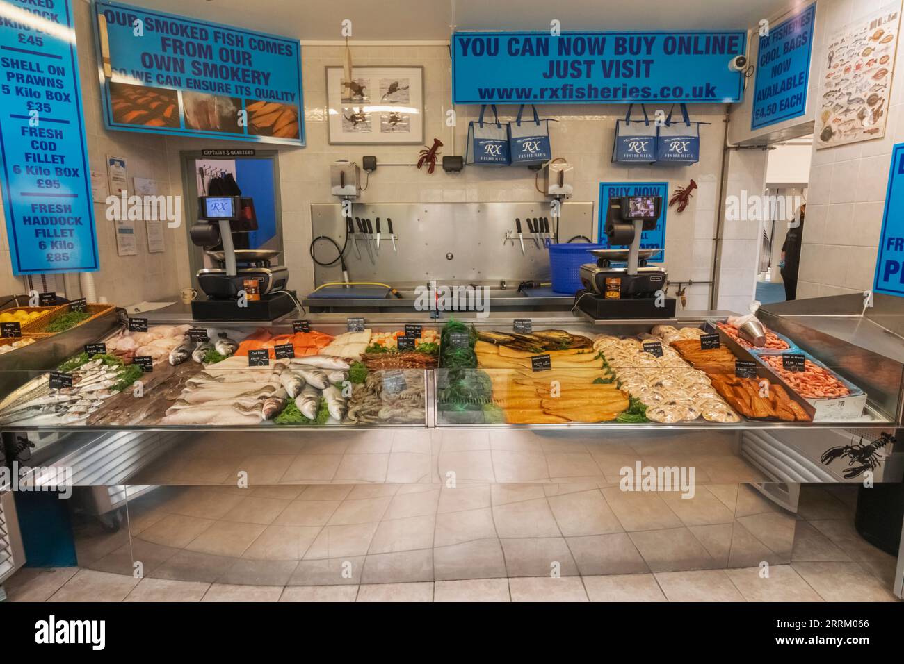 England, Sussex, East Sussex, Hastings, Die Altstadt, The Stade, Seafood Display im RX Fisheries Seafood Shop Stockfoto