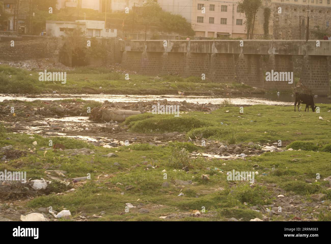 Rajkot, Indien. September 2023. Das Wasser des Flusses Aji in der Nähe des Ramnath-Tempels von Rajkot hat sich aufgrund von Müll verschlechtert. Quelle: Nasirchan/Alamy Live News Stockfoto