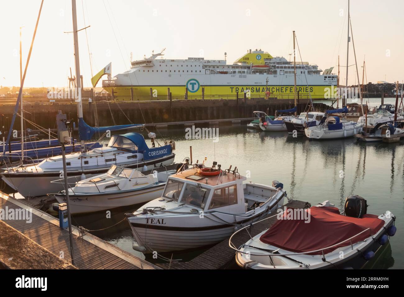 England, Sussex, East Sussex, Newhaven, DFDS Seaways Schiff Cote D'Albatre in Anchor Stockfoto