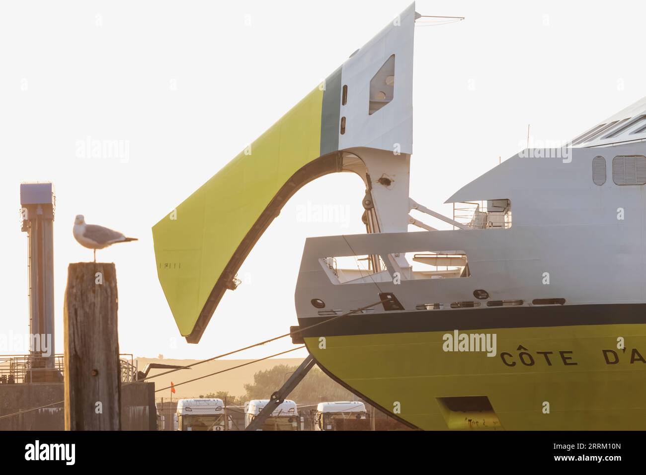 England, Sussex, East Sussex, Newhaven, DFDS Seaways Schiff Cote D'Albatre in Anchor Stockfoto