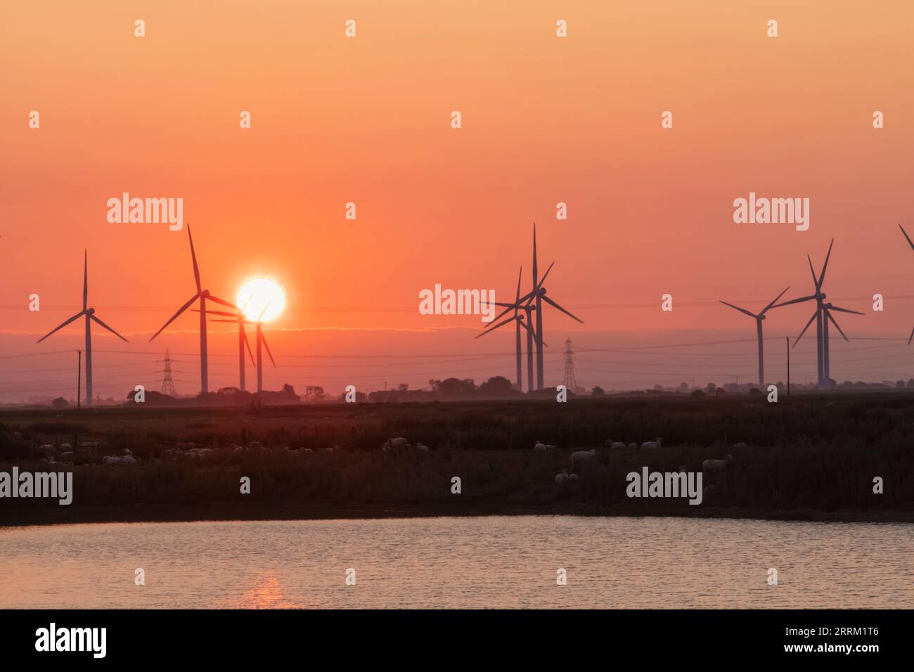 England, Kent, Romney Marsh, Sunrise und Onshore-Windturbinen Stockfoto