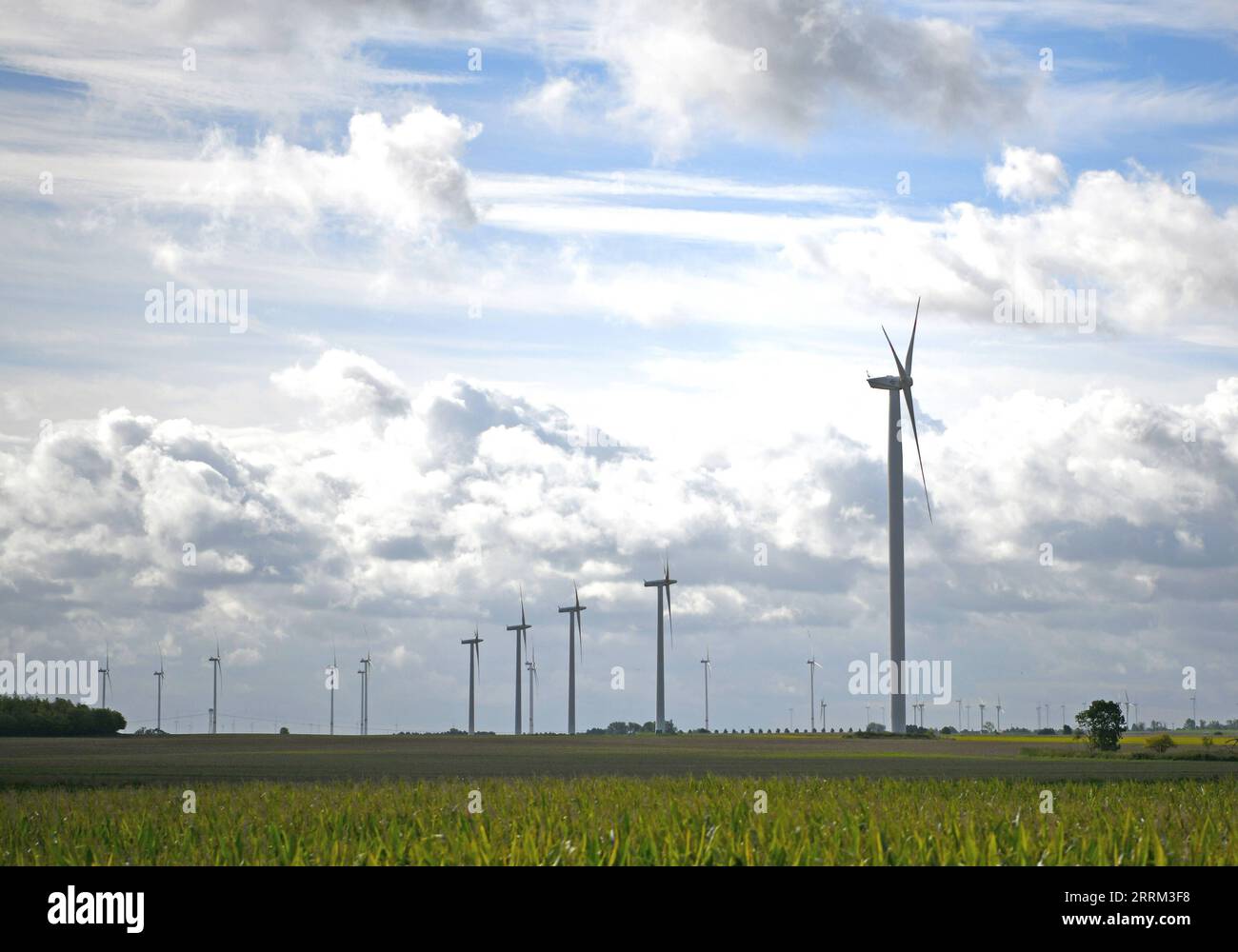 220930 -- BERLIN, 30. September 2022 -- Windturbinen sind in Brandenburg, Deutschland, 15. September 2022 abgebildet. Deutschland errichtet einen Verteidigungsschirm von bis zu 200 Milliarden Euro 196 Milliarden US-Dollar, um die Wirtschaft des Landes während der Energiekrise zu stabilisieren, teilte Bundeskanzler Olaf Scholz am 29. September mit. DEUTSCHLAND-WIRTSCHAFTSSTABILISIERUNGSFONDS-ENERGIEKRISE RENXPENGFEI PUBLICATIONXNOTXINXCHN Stockfoto
