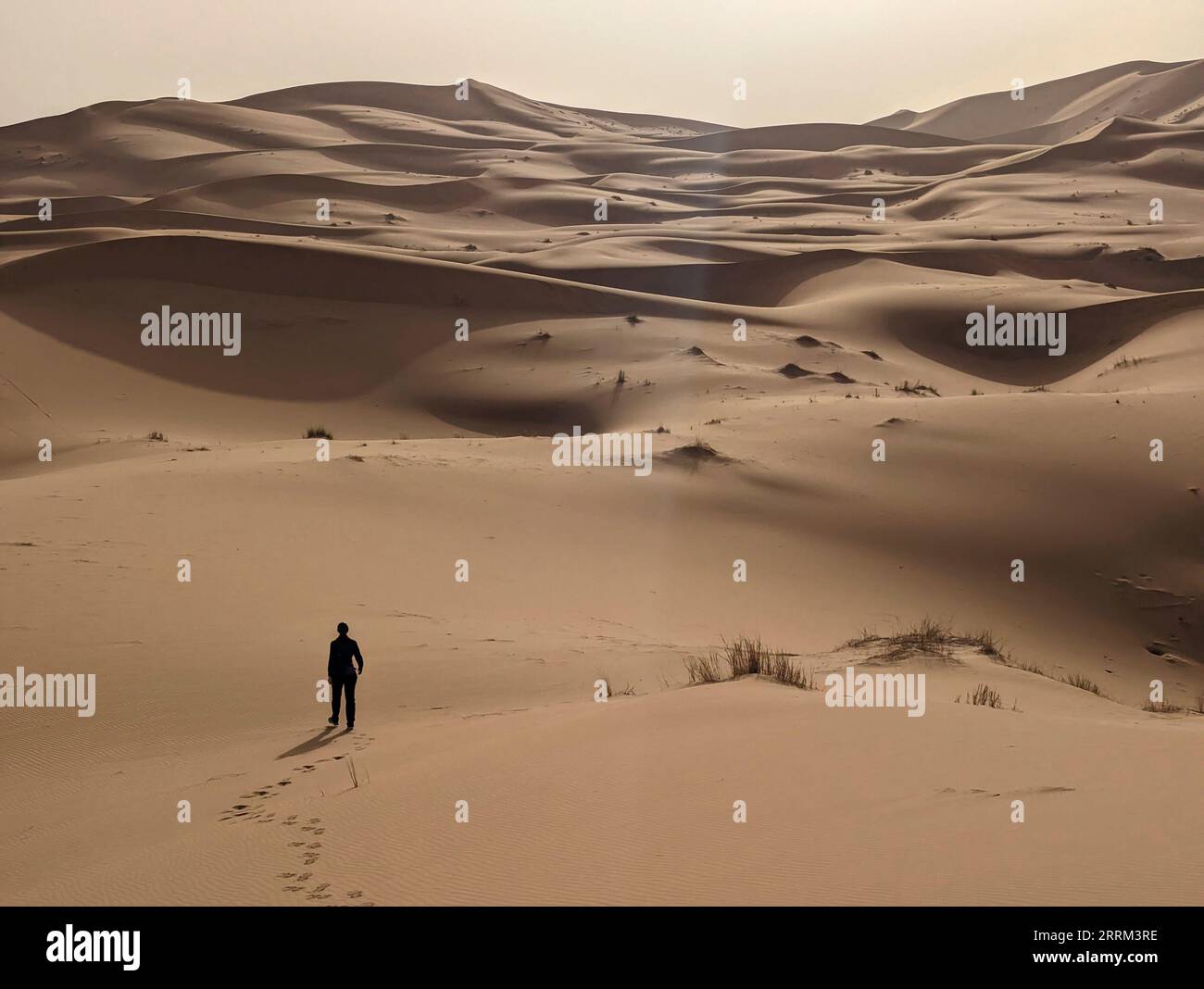 Eine Person, die durch die Wüste Erg Chebbi in der Afrikanischen Sahara, marokkanische Wüste geht Stockfoto