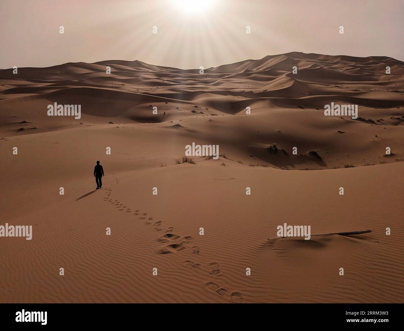 Eine Person, die durch die Wüste Erg Chebbi in der Afrikanischen Sahara, marokkanische Wüste geht Stockfoto