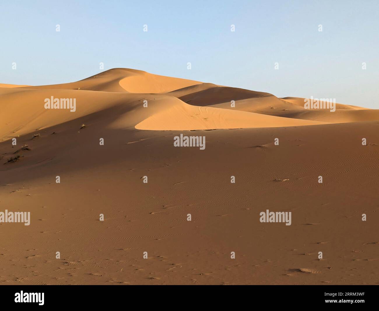 Malerische Dünen in der Erg Chebbi Wüste am frühen Abend, Teil der Afrikanischen Sahara, Marokko Stockfoto