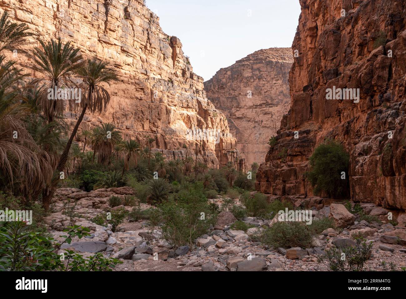 Wanderung durch den berühmten Amtoudi Canyon im Anti-Atlas, Marokko Stockfoto