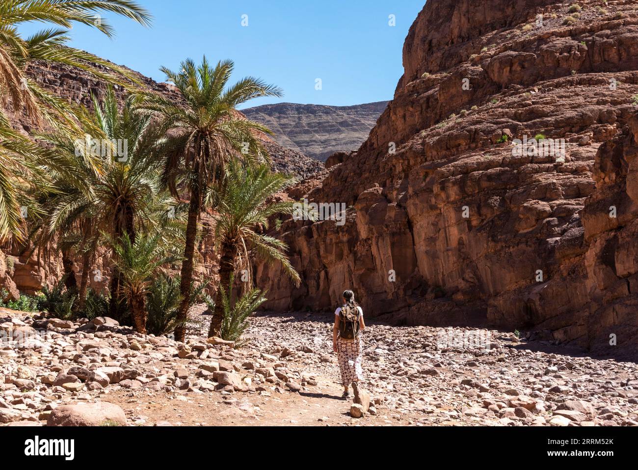 Wandern Sie durch die wunderschöne Landschaft des Draa-Tals in der Nähe des Dorfes Tizgui, Marokko Stockfoto