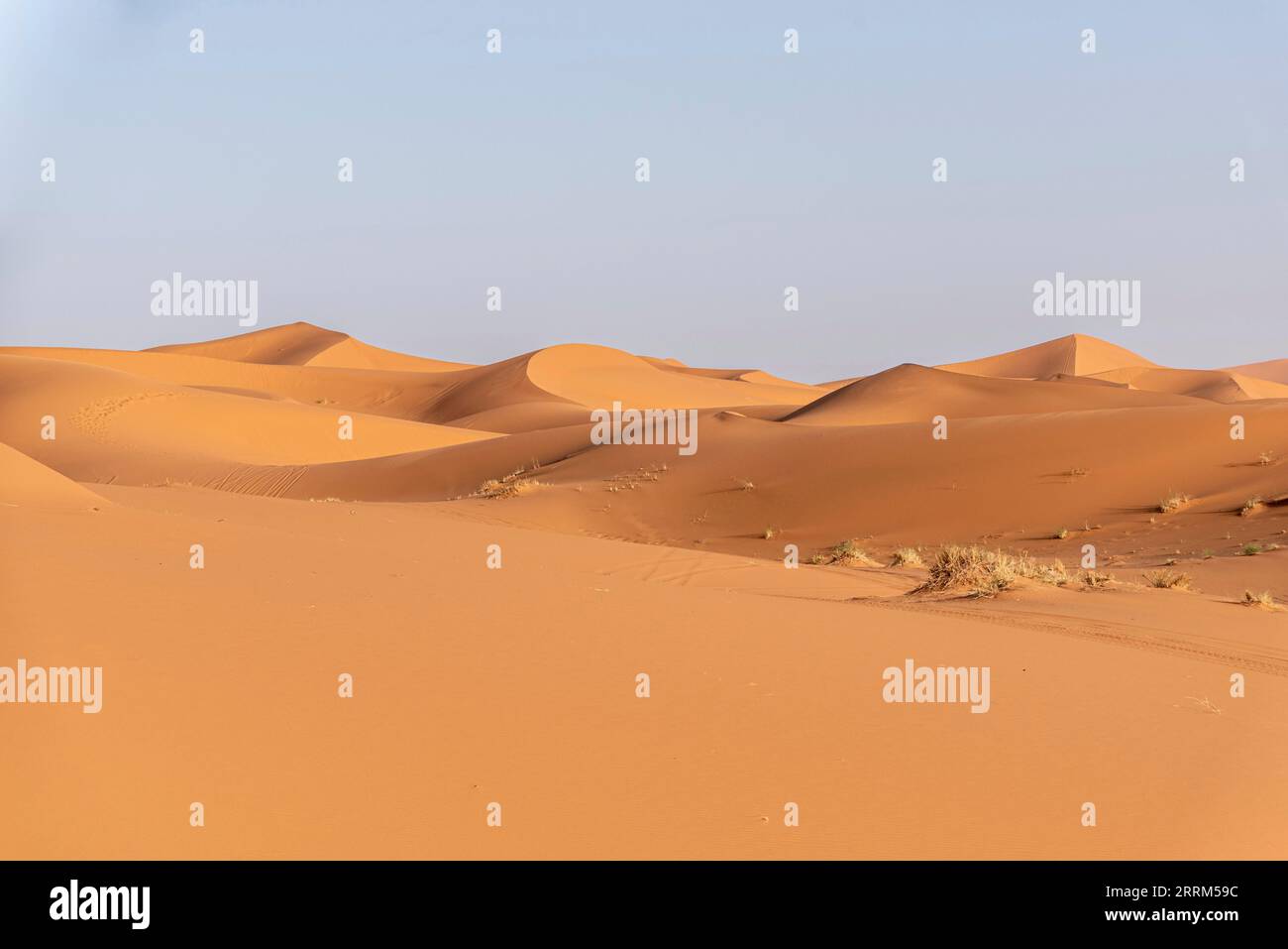 Malerische Dünen in der Erg Chebbi Wüste am frühen Abend, Teil der Afrikanischen Sahara, Marokko Stockfoto