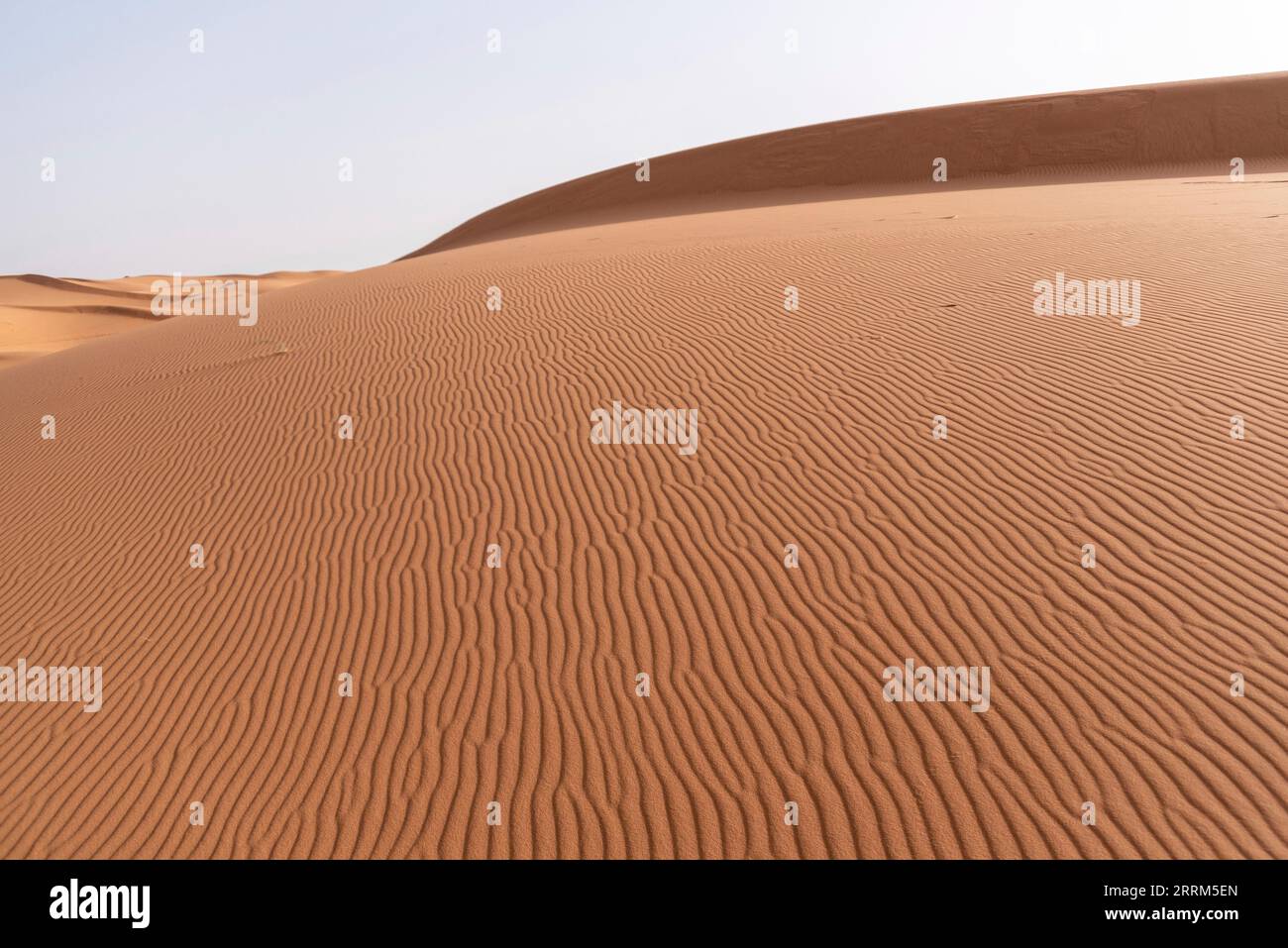 Malerische Dünen in der Wüste Erg Chebbi, Teil der Afrikanischen Sahara, Marokko Stockfoto