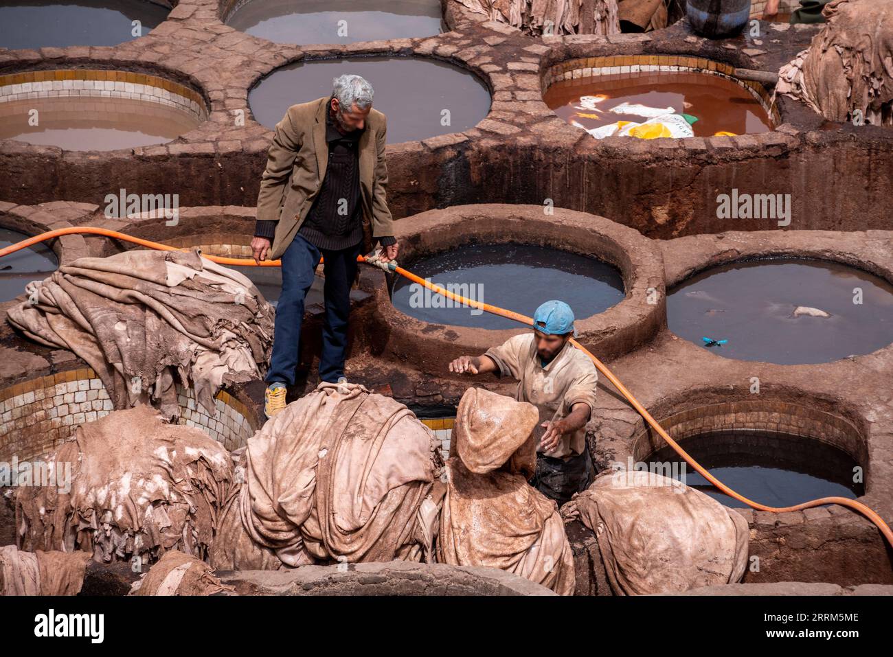 Fes, Marokko, berühmte Gerberei in der Medina von Fes, wo Leder seit Generationen verarbeitet wird, Marokko Stockfoto