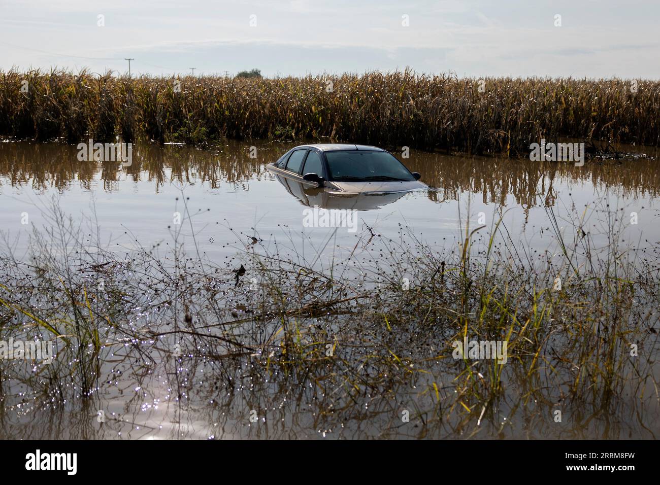 Karditsa, Griechenland. September 2023. Ein Auto steht in der überfluteten Gegend in der Nähe des Dorfes Itea, wenige Kilometer von der Stadt Karditsa entfernt. Nachdem der Sturm „Daniel“ riesige Niederschlagsmengen verursacht hat, kommt der Schaden nun ans Licht. Hunderte von Menschen mussten gerettet werden, da sie aufgrund der Wassermassen tagelang von der Umgebung abgeschnitten waren. Quelle: Yorgos Karahalis/dpa/Alamy Live News Stockfoto