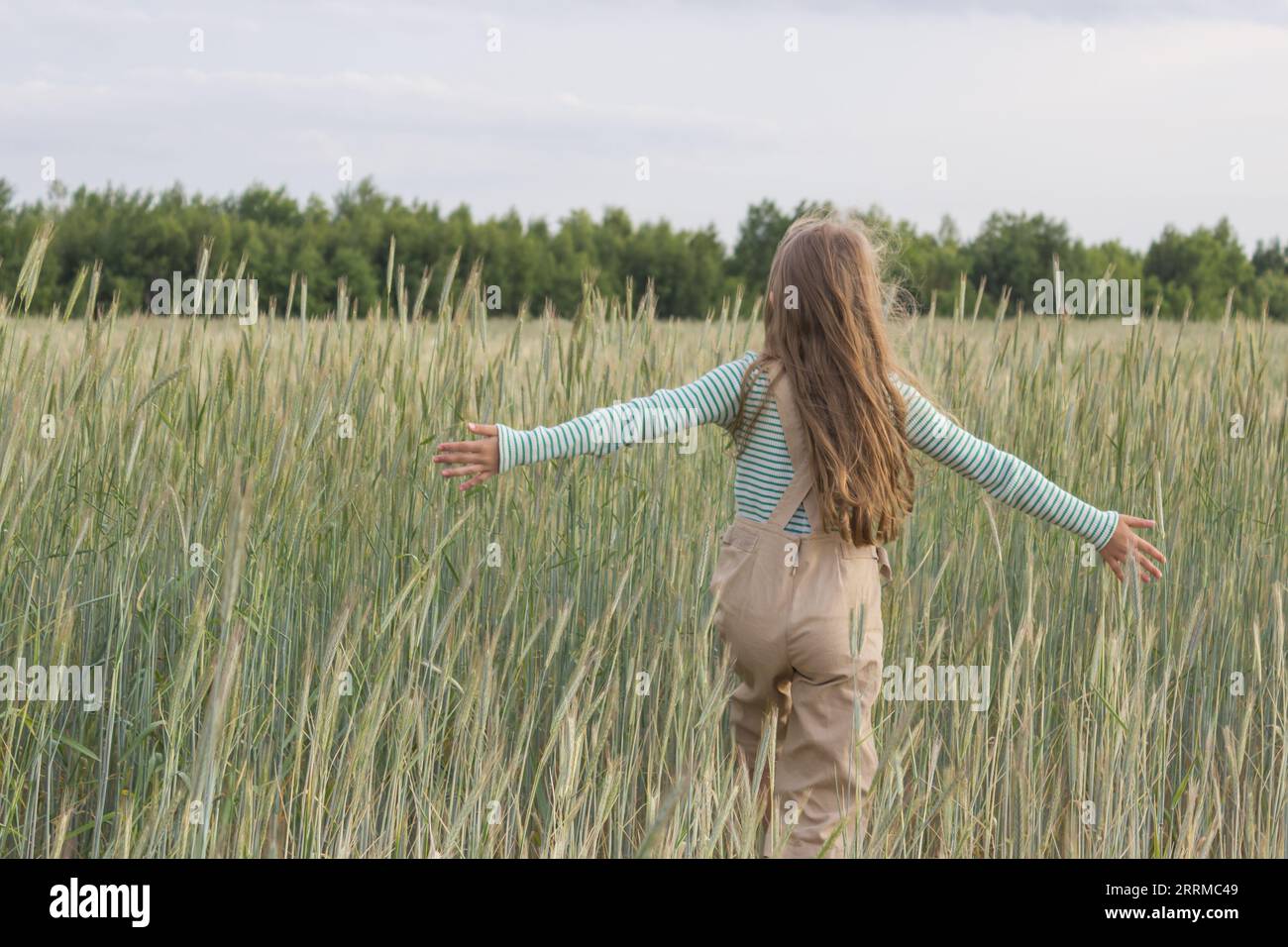 Ein blondes Mädchen geht mit ihren Armen in verschiedene Richtungen auf dem Feld und berührt die Ähren von Mais. Ansicht von hinten. Stockfoto