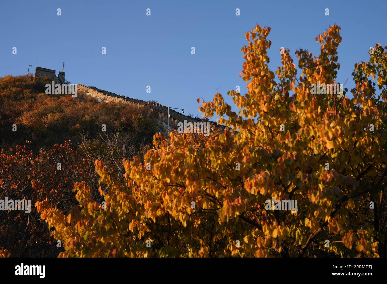 221023 -- PEKING, 23. Oktober 2022 -- dieses Foto, das am 22. Oktober 2022 aufgenommen wurde, zeigt die Landschaft des Mutianyu-Abschnitts der Chinesischen Mauer in Peking, der Hauptstadt Chinas. CHINA-BEIJING-GREAT WALL-MUTIANYU CN JUXHUANZONG PUBLICATIONXNOTXINXCHN Stockfoto