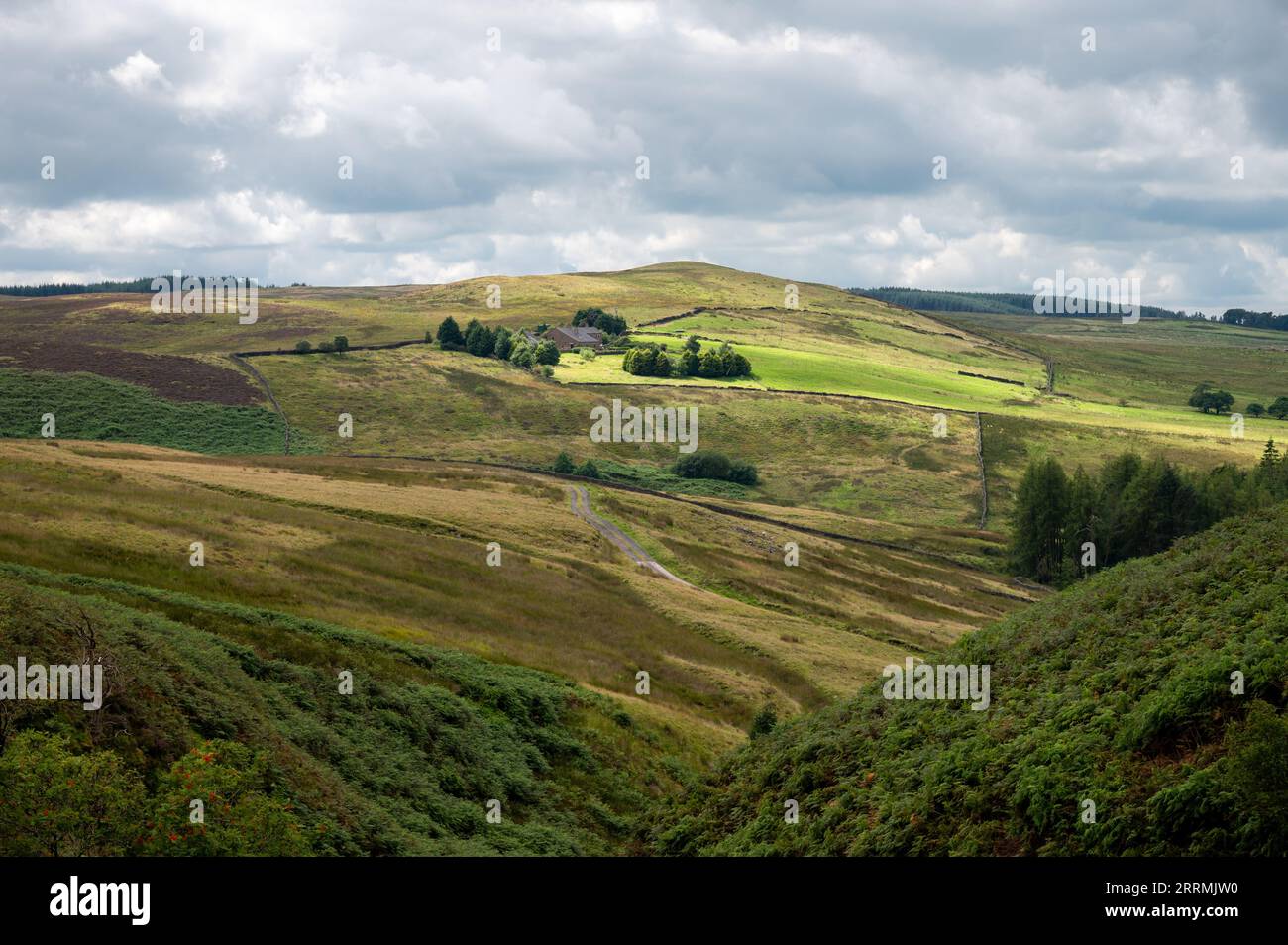 Panoramablick auf die wunderschöne grüne Landschaft mit Bauernhaus im Forest of Bowland, Lancashire UK Stockfoto