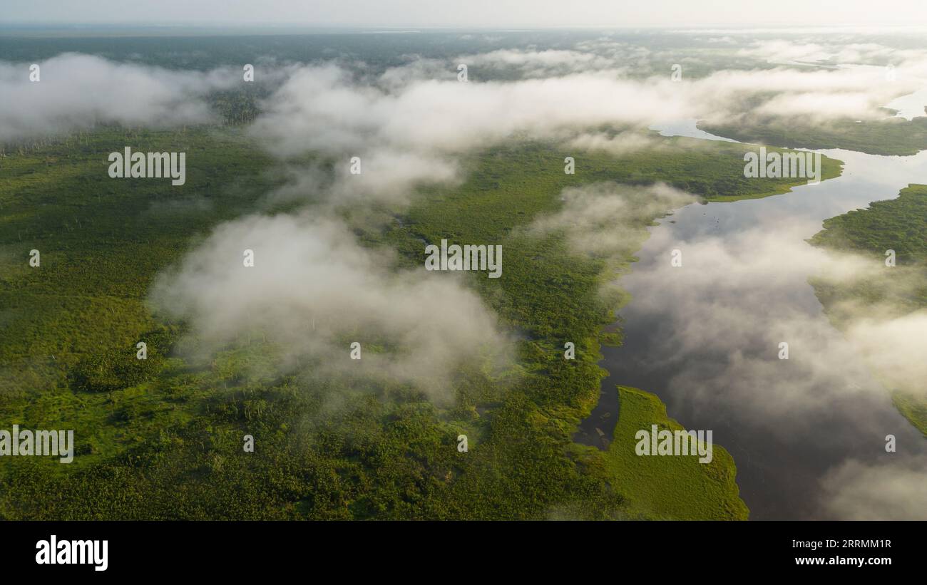 Amazonasseen sind an vielen Orten zu finden, sie beherbergen eine Vielfalt an Fauna, die von den Anwohnern in der Nähe genutzt wird. Stockfoto