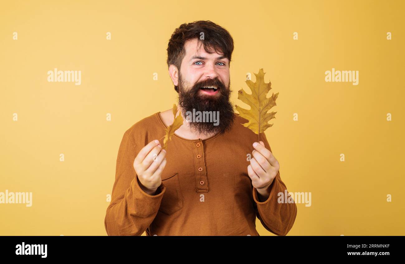 Bärtiger Mann in saisonaler Herbstkleidung mit gelbem Blatt. Lächelnder Kerl in modischer Kleidung, der mit Herbstblättern spielt. Mode-Modell für den Herbst. Herbst Stockfoto