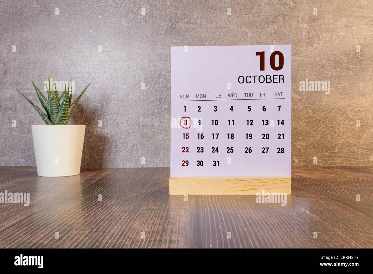 Blumentopf und Kalender für die kühle Jahreszeit ab 08. Oktober. Herbstzeit Stockfoto