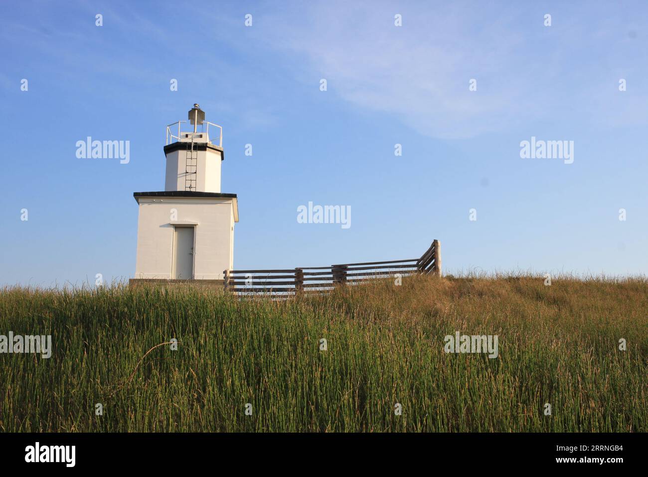 Weißer Leuchtturm mit grünem Grasfeld und blauem Himmel tagsüber Stockfoto