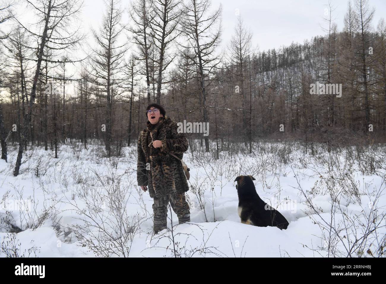 230113 -- GENHE, 13. Januar 2023 -- Juele nennt sein Rentier im Jinhe-Waldgebiet nahe der Stadt Genhe, Nordchinas Autonome Region Innere Mongolei, 12. Januar 2023. Alle zwei oder drei Tage fährt Juele Bulituotian in die Jinhe-Waldkette, etwa 80 Kilometer von der Stadt Genhe entfernt. Dort findet der 39-jährige Aoluguya Ewenki-Hirte, der einen traditionellen Pelzmantel trägt, sein Rentier, das auf der Jagd ist. Anstatt Rentiere in einer Scheune zu halten, lassen die Ewenki-Hirten die Tiere im Wald leben und kontrollieren sie alle paar Tage. Juele besitzt über 60 Rentiere. Er wird sein Rentier im Ewenki la nennen Stockfoto