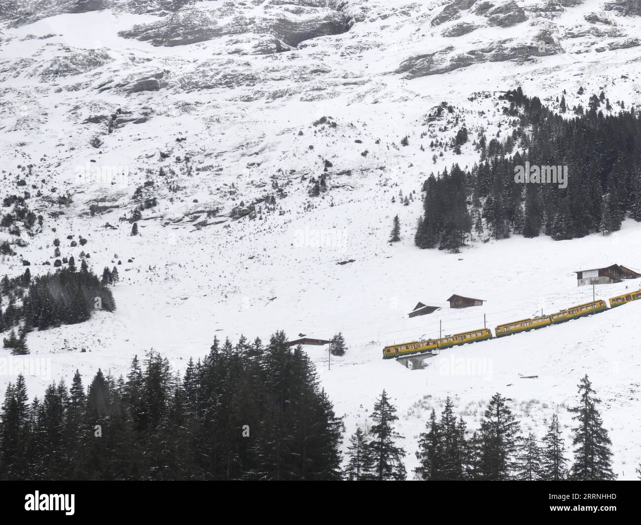 230114 -- GENF, 14. Januar 2023 -- Ein Personenzug fährt in der Jungfrau Region in der Schweiz, 12. Januar 2023. Das beliebte Ausflugsziel und Wintersportort Jungfrau in der Schweiz erwartet in naher Zukunft weitere chinesische Touristen und Sportfans. Mit Chinas kürzlich erfolgter Optimierung der COVID-19-Reaktion und der schrittweisen Wiederherstellung von Auslandsreisen chinesischer Staatsbürger hat sich Jungfrau auf einen Anstieg der chinesischen Touristen in dieser Skisaison vorbereitet. UM MIT DER Schweiz ZU GEHEN erwartet die Jungfrau mehr chinesische Touristen SCHWEIZ-JUNGFRAU-TOURISMUS LianxYi PUBLICATIONxNOTxINxCHN Stockfoto