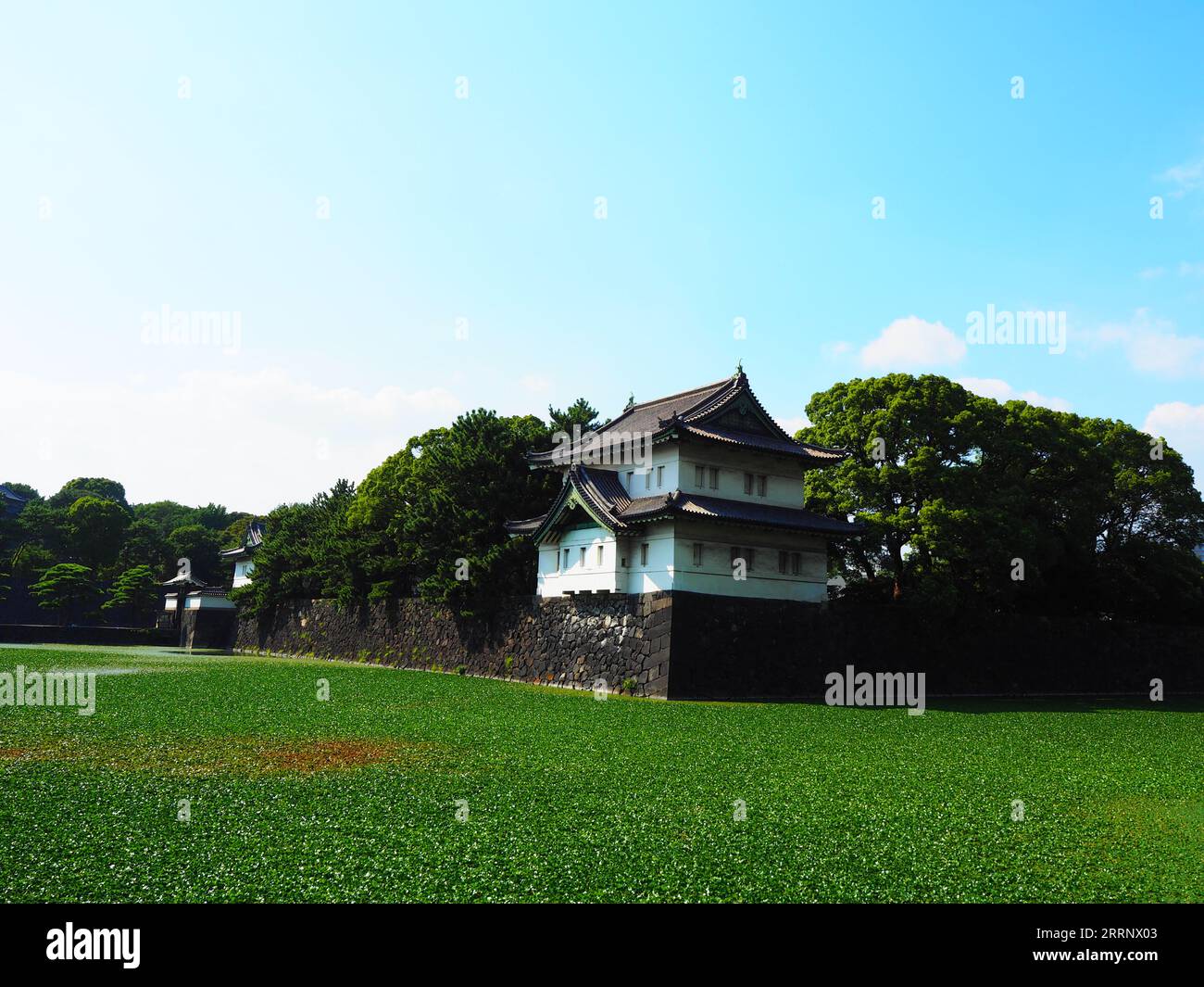 Tokio, Städtetrip in Japans Hauptstadt Stockfoto