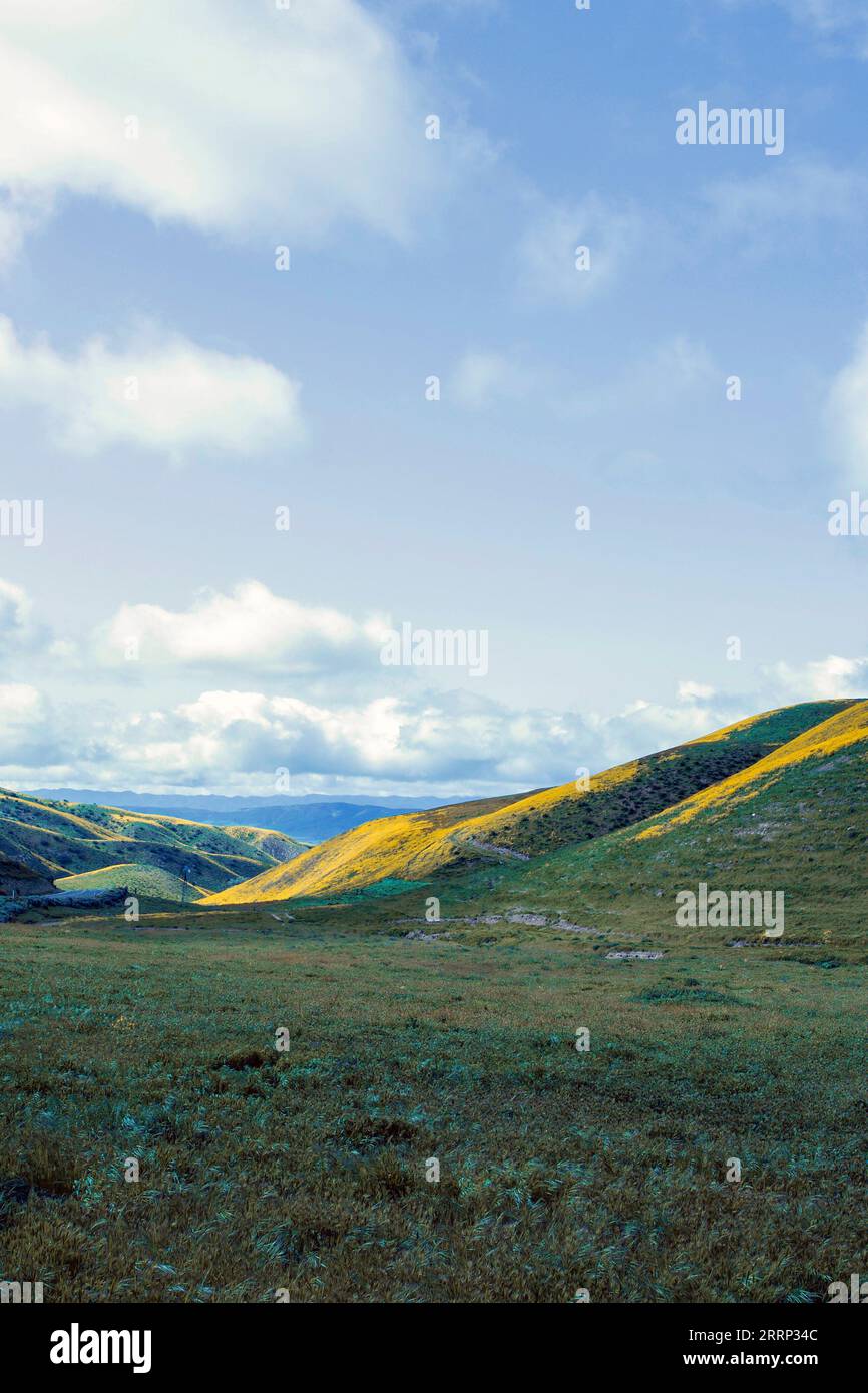 Kalifornien Superbloom Stockfoto