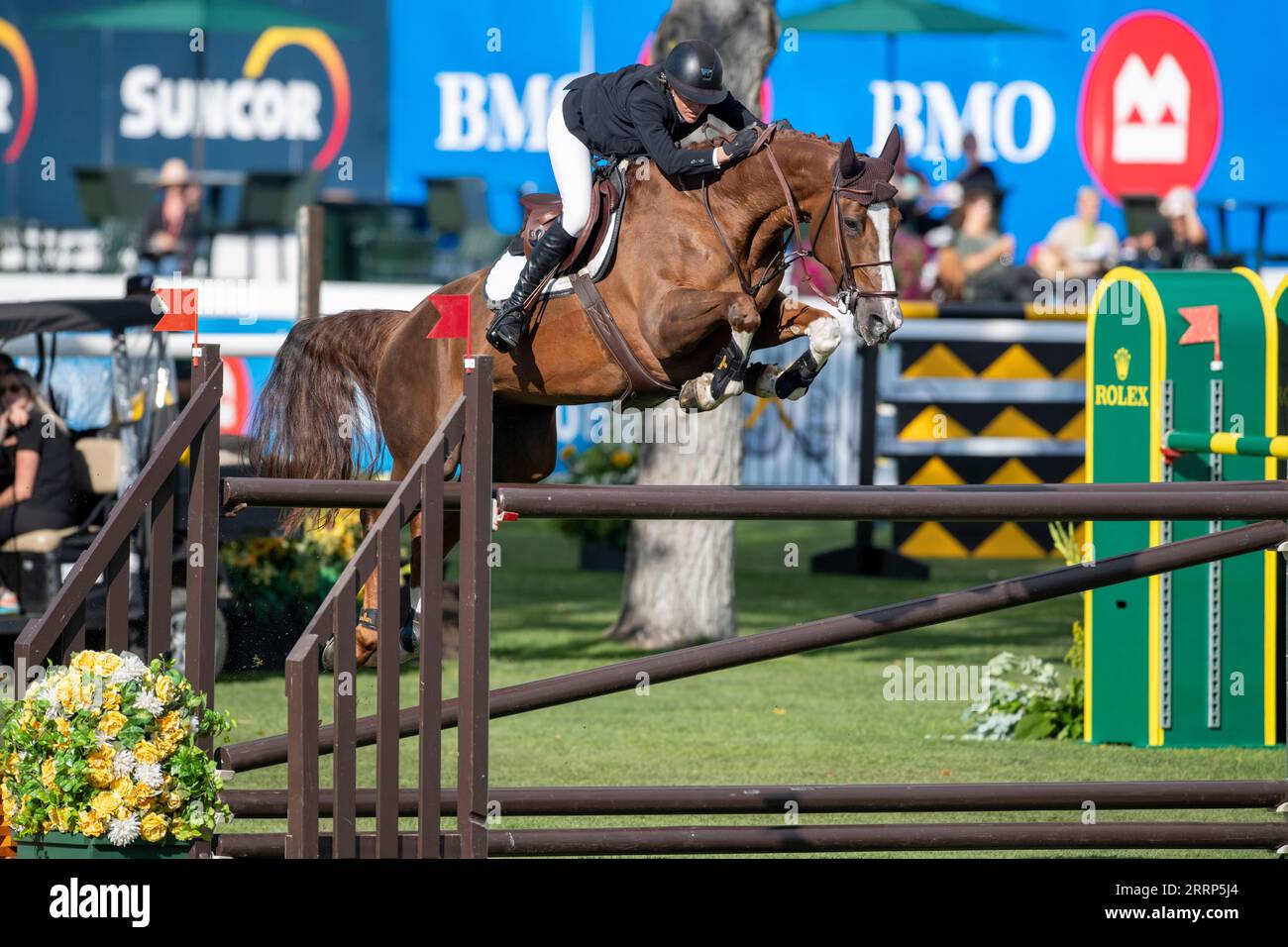 Calgary, Alberta, Kanada, 8. September 2023. Angelie von Essen (SWE) Riding One to Watch, The Masters, Fichte Wiesen - Credit: Peter Llewellyn/Alamy Live News Stockfoto