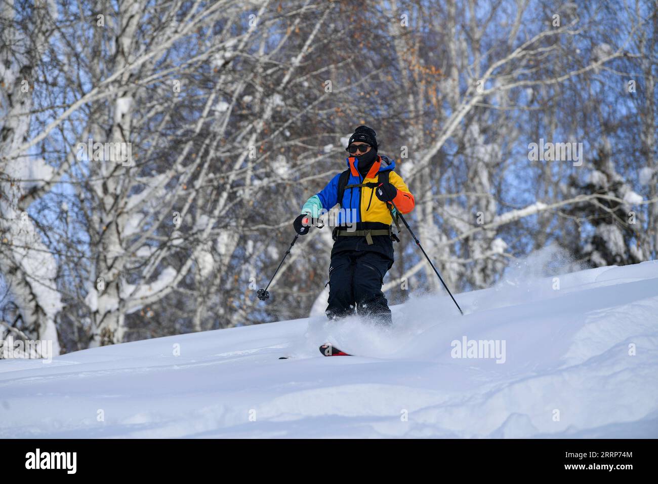 230226 -- ÜRÜMQI, 26. Februar 2023 -- Peng Chao Ski im Dorf HEMU in Altay, Nordwestchinas Autonome Region Xinjiang Uygur, am 14. Januar 2023. Mit seinen hochwertigen Schneebedingungen hat Xinjiang im Nordwesten Chinas eine Reihe hochwertiger Skigebiete gebaut und sich zu einem neuen Hotspot für den Wintersport entwickelt. Die Schneesaison in Altay, das sich im nördlichsten Teil von Xinjiang befindet, kann bis zu sieben Monate dauern und macht es zu einem Paradies für Wintersportler. Zu Beginn der Schneesaison im Jahr 2021 mietete der in Peking ansässige Skier Peng Chao eine Hütte im Dorf HEMU im Altay Mountai Stockfoto