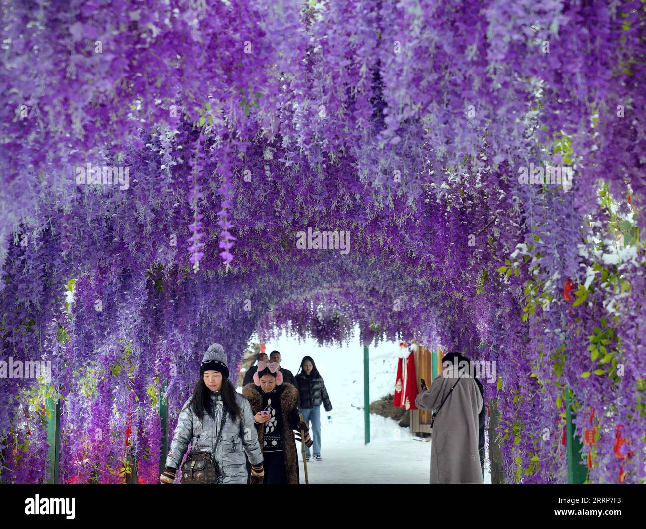 230227 -- LUOYANG, 27. Februar 2023 -- Touristen besuchen den landschaftlich reizvollen Ort des Laojun Berges im Luanchuan County von Luoyang, zentralchinesische Provinz Henan, 23. Februar 2023. Offizielle Daten zeigten, dass die Stadt im Januar 2023 10,31 Millionen Fahrten verzeichnete, was einem Umsatz von 6,28 Milliarden Yuan in Höhe von 902,44 Millionen US-Dollar entspricht, was einem Anstieg von 746,63 Prozent bzw. 690,06 Prozent gegenüber dem Vorjahr entspricht. CHINA-HENAN-LUOYANG-KULTUR- UND TOURISMUSBRANCHE CN LIXAN PUBLICATIONXNOTXINXCHN Stockfoto