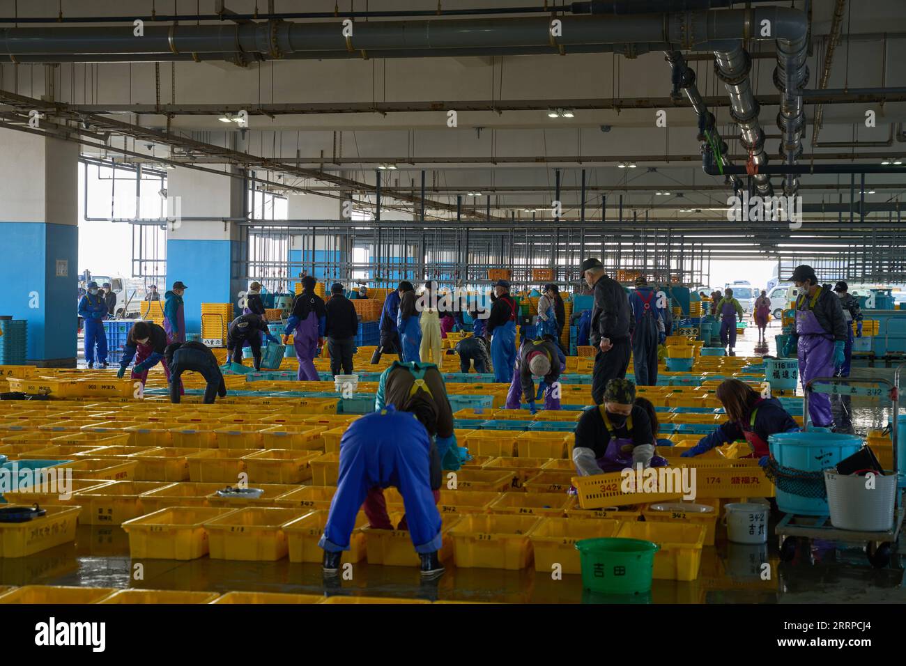 230313 -- FUKUSHIMA, 13. März 2023 -- dieses Foto, das am 8. März 2023 aufgenommen wurde, zeigt einen Fischmarkt in Soma City, Präfektur Fukushima, Japan. Das Kraftwerk wurde am 11. März 2011 von einem Erdbeben der Stärke 9,0 und einem anschließenden Tsunami heimgesucht und erlitt Kernschmelzen, was zu einem nuklearen Unfall der Stufe 7 führte, dem höchsten auf der internationalen Skala für nukleare und radiologische Ereignisse. Zwölf Jahre, nachdem der Unfall von 2011 die Fischereiindustrie von Fukushima traumatisiert hat, kämpfen die Fischer vor Ort noch immer um Erholung. Japan treibt mit der Deponierung von Tonnen kontaminiertem nuklearen Abwasser voran Stockfoto