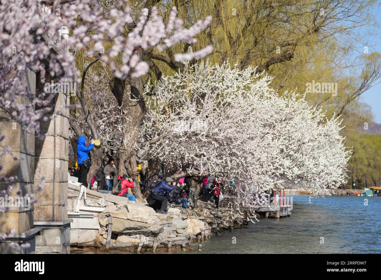 230315 -- PEKING, 15. März 2023 -- Touristen machen Fotos im Sommerpalast in Peking, Hauptstadt von China, am 15. März 2023. CHINA-PEKING-SOMMER PALAST-FRÜHLING CN CHENXYEHUA PUBLICATIONXNOTXINXCHN Stockfoto